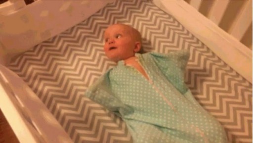 watch with glee a baby and cat