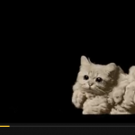 funny-cat-video-up-in-smoke