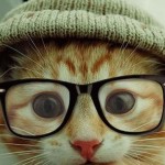 Nerd Cat