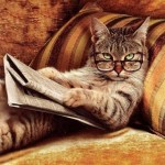 funny-cat-video-cat-in-glasses