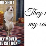 they-moved-the-litter-box