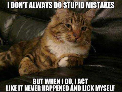 http://randomfunnycat.com/wp-content/uploads/2015/11/funny-cat-memes1.jpg